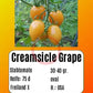 Creamsicle Grape DER TOMATENFLÜSTERER