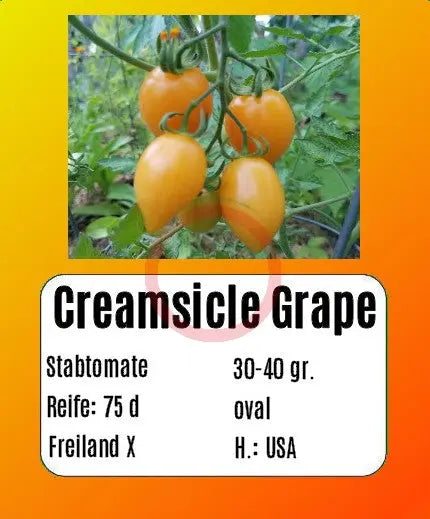 Creamsicle Grape DER TOMATENFLÜSTERER
