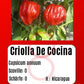 Criolla De Cocina DER TOMATENFLÜSTERER