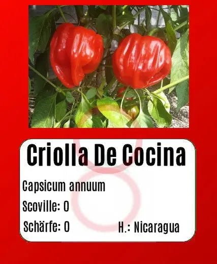Criolla De Cocina DER TOMATENFLÜSTERER