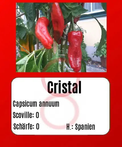 Cristal DER TOMATENFLÜSTERER