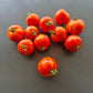Csikos Botermo DER TOMATENFLÜSTERER