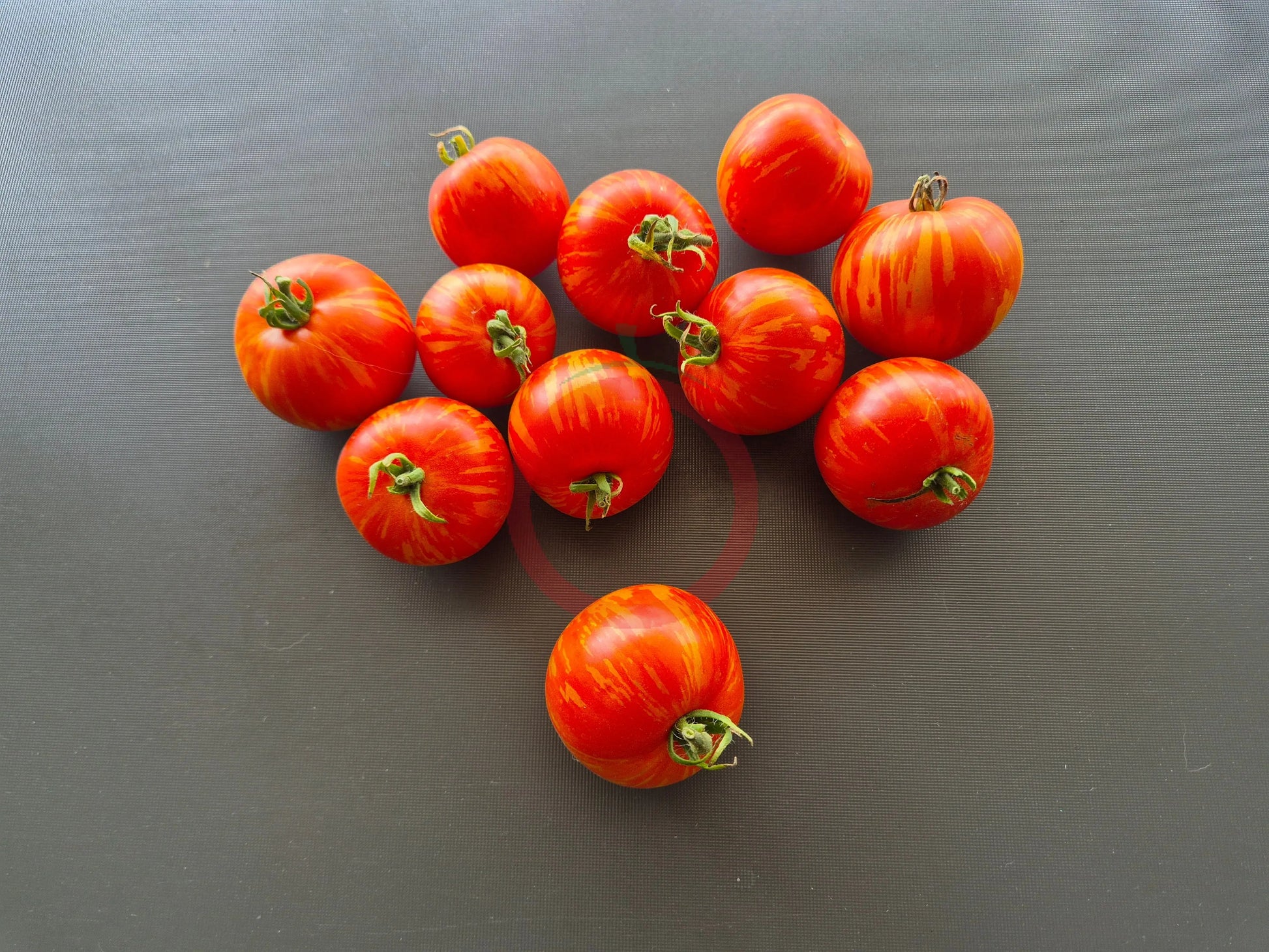 Csikos Botermo DER TOMATENFLÜSTERER