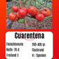 Cuarentena DER TOMATENFLÜSTERER