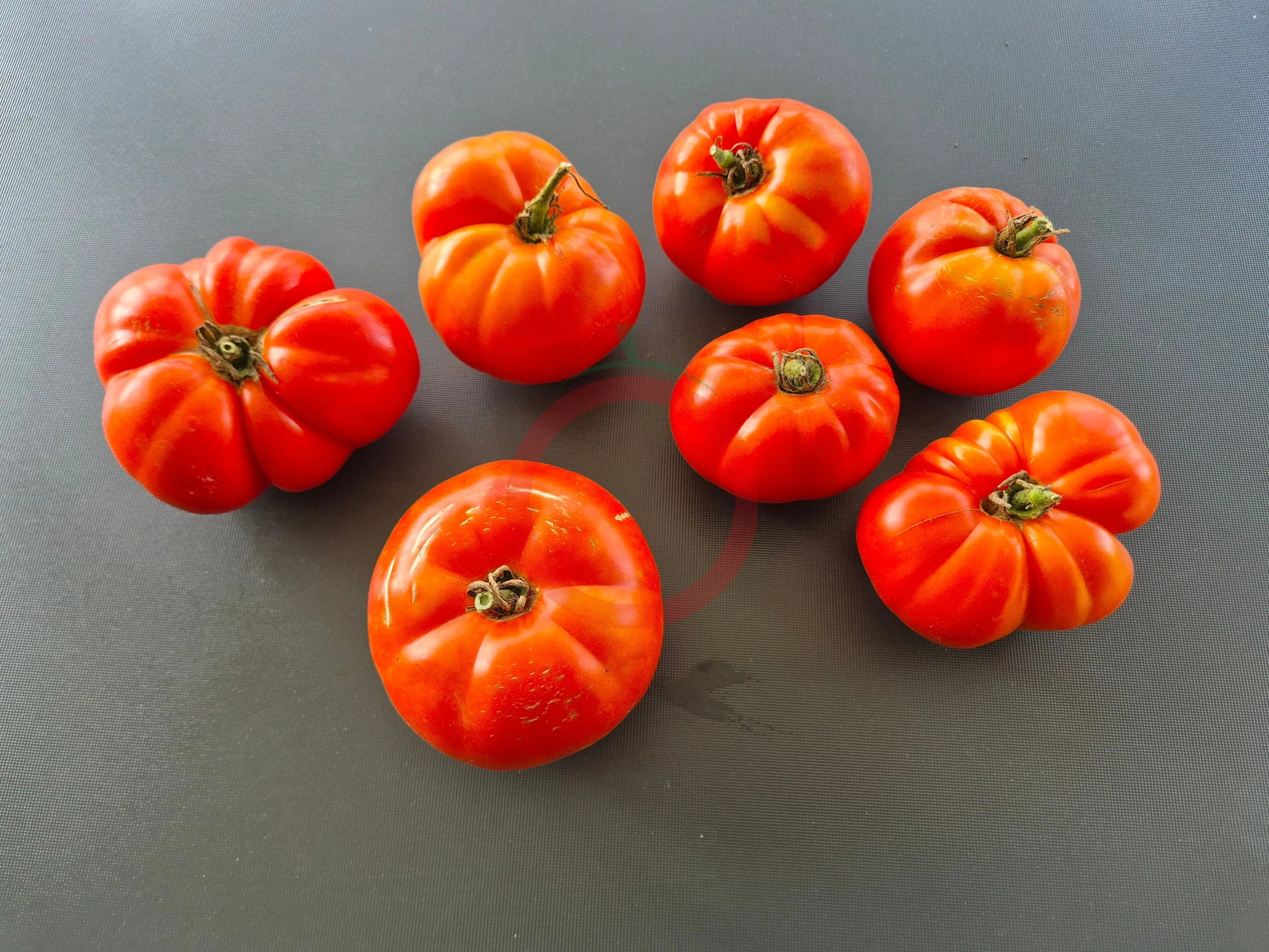Cuarentena DER TOMATENFLÜSTERER