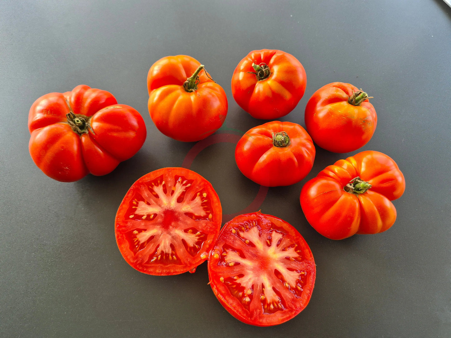 Cuarentena DER TOMATENFLÜSTERER