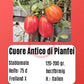 Cuore Antico di Pianfei DER TOMATENFLÜSTERER