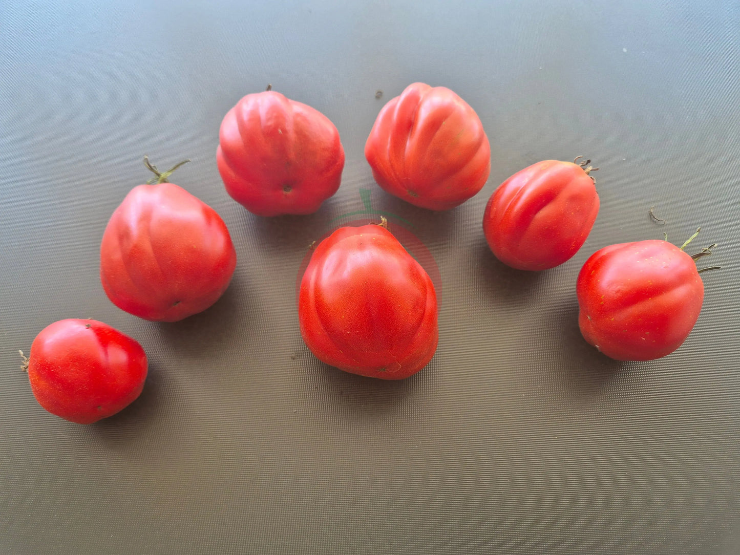Cuore Antico di Pianfei DER TOMATENFLÜSTERER