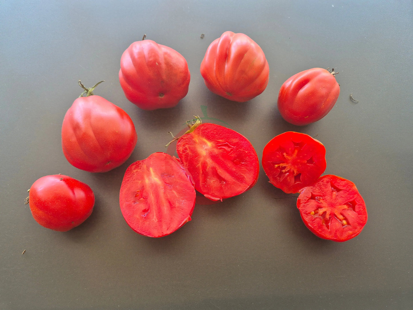 Cuore Antico di Pianfei DER TOMATENFLÜSTERER