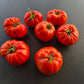 Cuostralée DER TOMATENFLÜSTERER