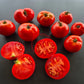 D´Iberville DER TOMATENFLÜSTERER