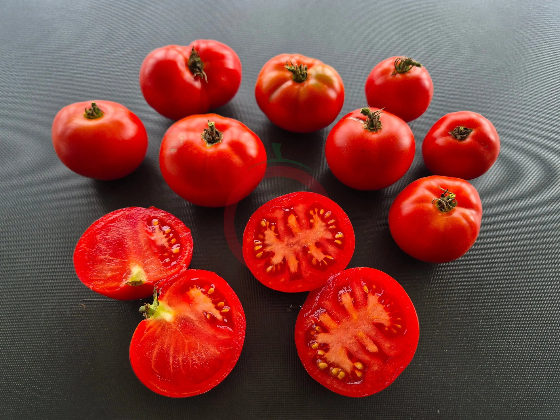 D´Iberville DER TOMATENFLÜSTERER