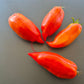 Dad´s Barber Paste DER TOMATENFLÜSTERER