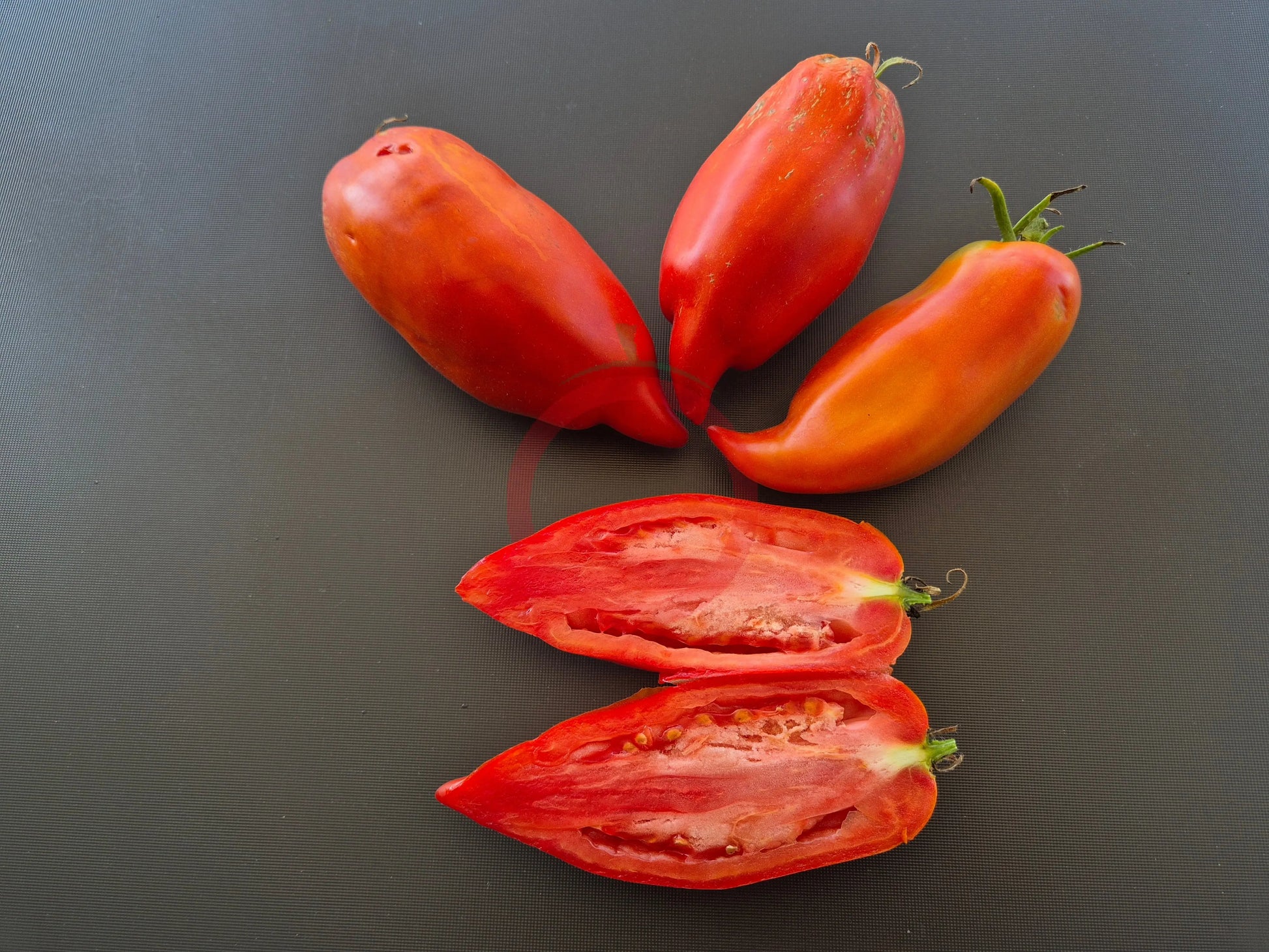 Dad´s Barber Paste DER TOMATENFLÜSTERER