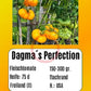 Dagma´s Perfection DER TOMATENFLÜSTERER