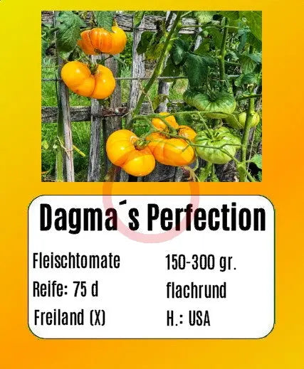 Dagma´s Perfection DER TOMATENFLÜSTERER