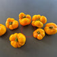 Dagma´s Perfection DER TOMATENFLÜSTERER