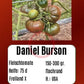 Daniel Burson DER TOMATENFLÜSTERER