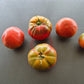 Daniel Burson DER TOMATENFLÜSTERER