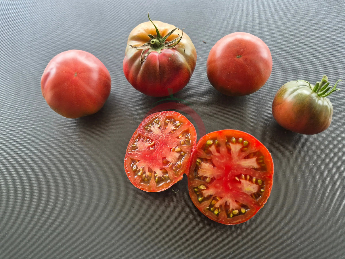 Daniel Burson DER TOMATENFLÜSTERER