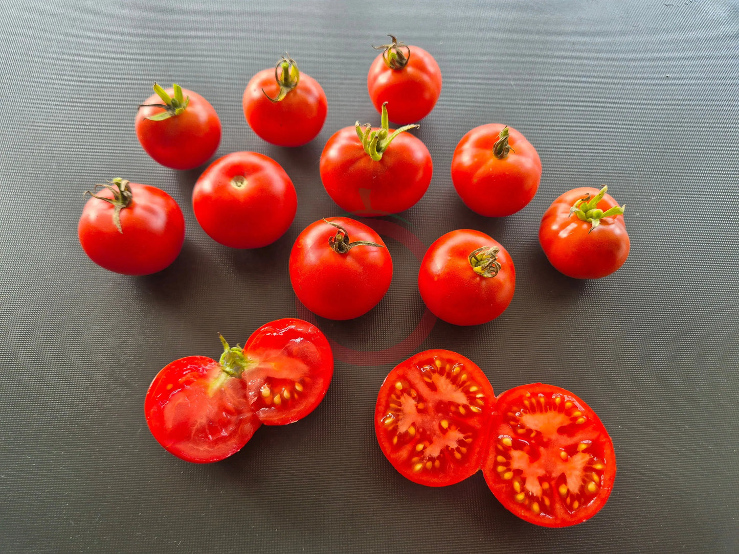 Dansk Export DER TOMATENFLÜSTERER