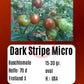Dark Stripe Micro DER TOMATENFLÜSTERER