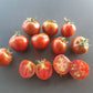 Dark Stripe Micro DER TOMATENFLÜSTERER