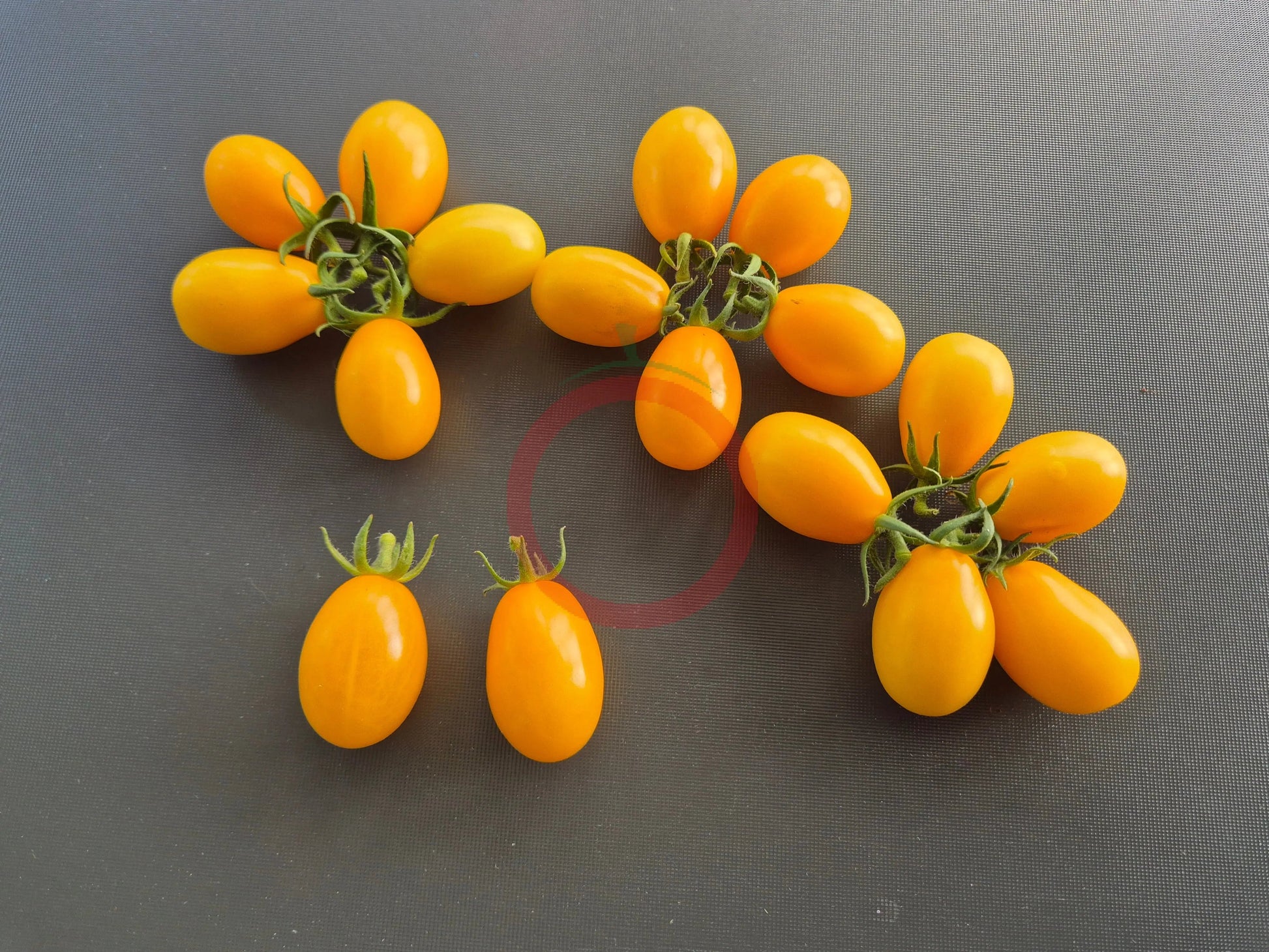 Dattelwein DER TOMATENFLÜSTERER