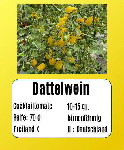 Dattelwein DER TOMATENFLÜSTERER