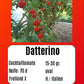 Datterino DER TOMATENFLÜSTERER