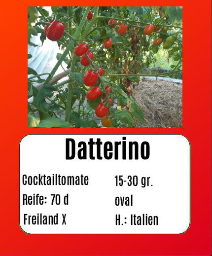 Datterino DER TOMATENFLÜSTERER