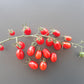Datterino DER TOMATENFLÜSTERER