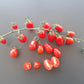 Datterino DER TOMATENFLÜSTERER