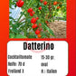 Datterino DER TOMATENFLÜSTERER