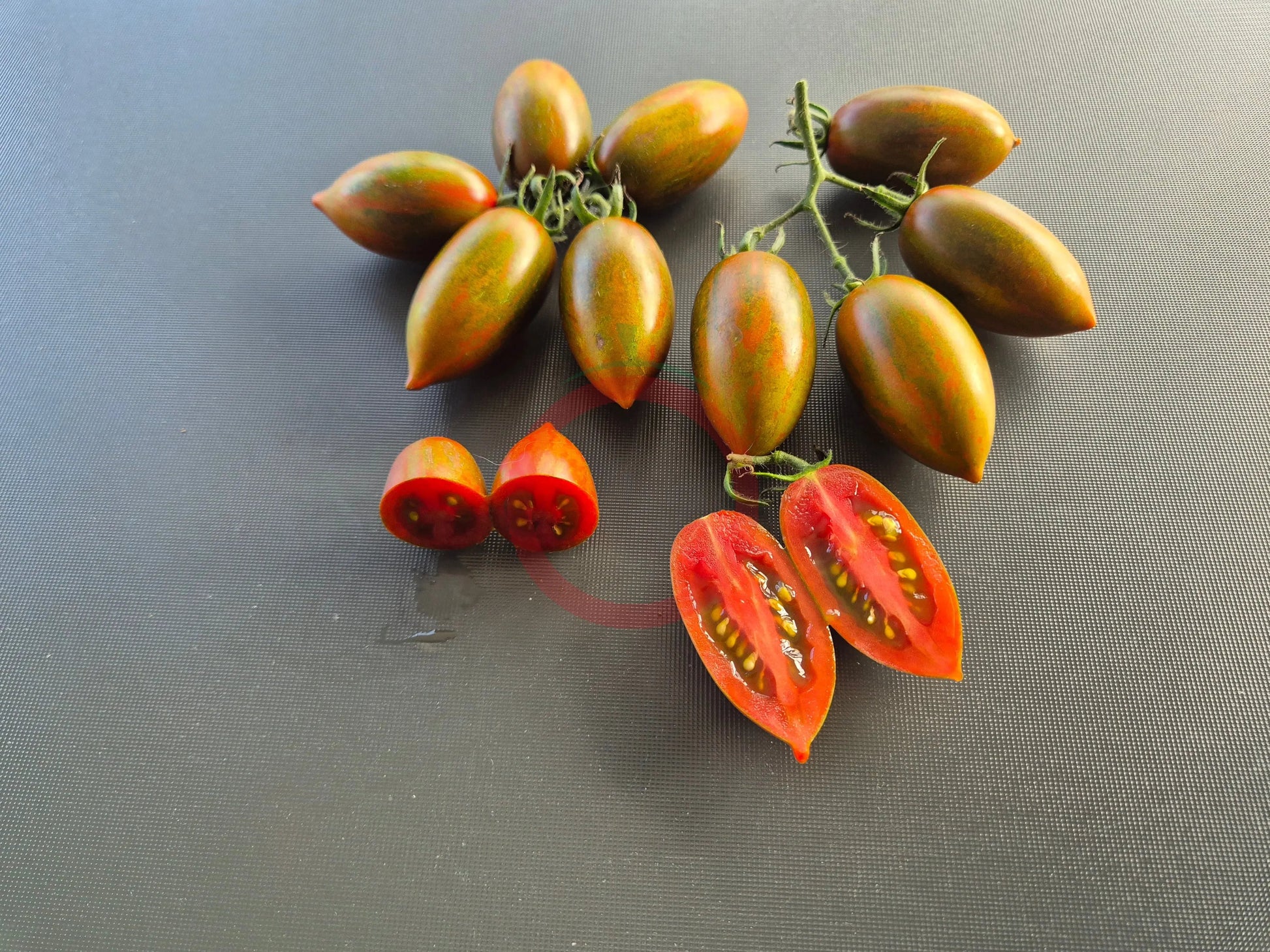 Datterino Nero di Cino DER TOMATENFLÜSTERER
