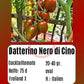 Datterino Nero di Cino DER TOMATENFLÜSTERER