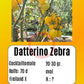 Datterino Zebra DER TOMATENFLÜSTERER