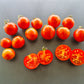 De Berao Tiger DER TOMATENFLÜSTERER