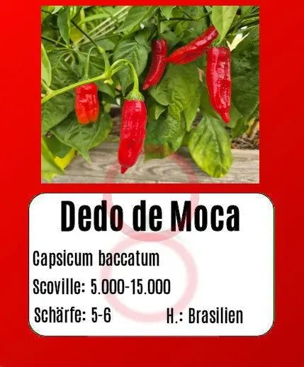 Dedo de Moca DER TOMATENFLÜSTERER