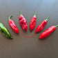 Dedo de Moca DER TOMATENFLÜSTERER