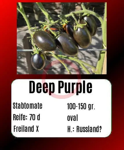 Deep Purple DER TOMATENFLÜSTERER