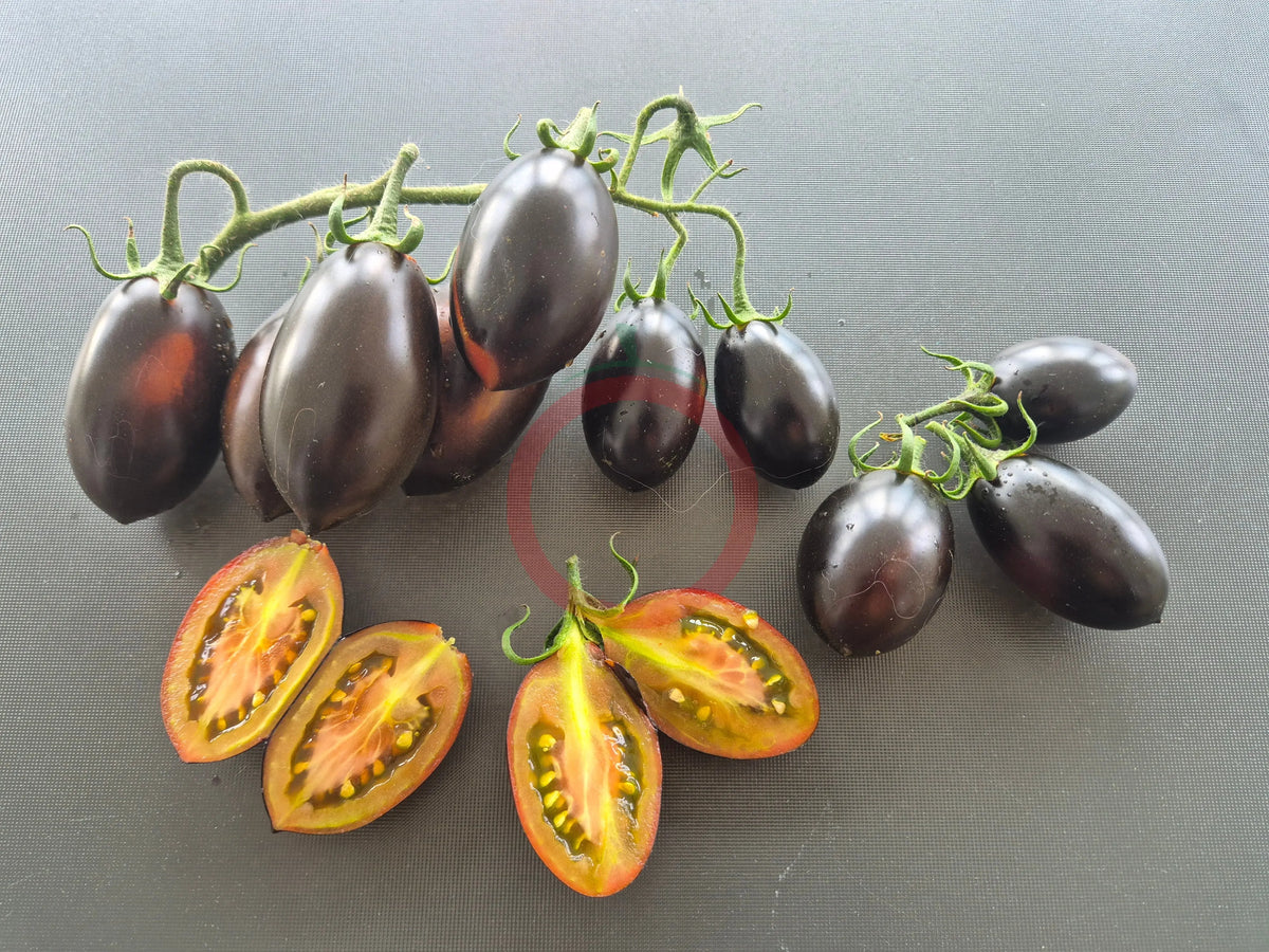Deep Purple DER TOMATENFLÜSTERER