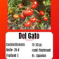 Del Gato DER TOMATENFLÜSTERER