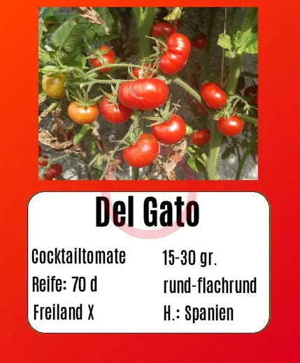 Del Gato DER TOMATENFLÜSTERER