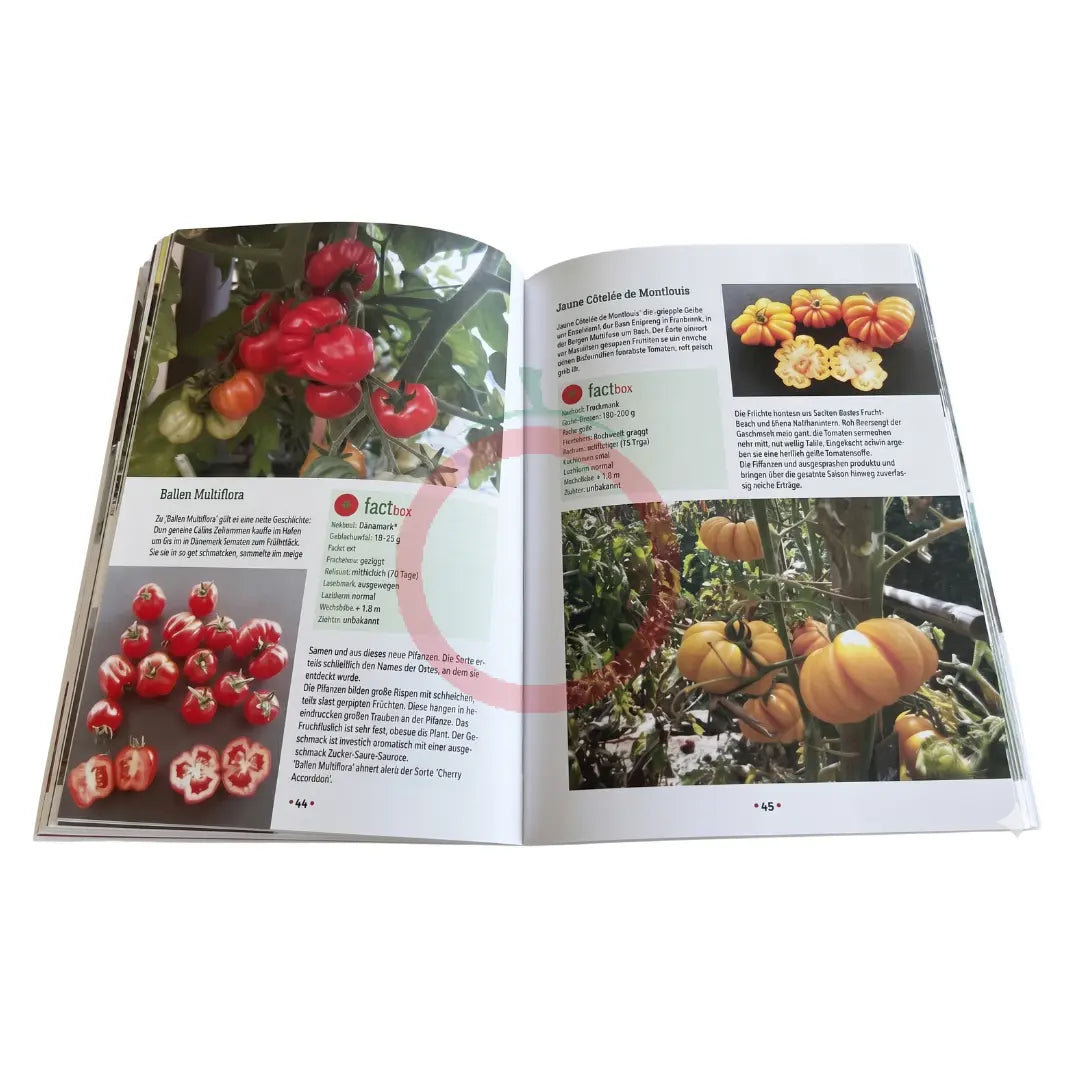 Der Tomatenflüsterer - das Buch DER TOMATENFLÜSTERER