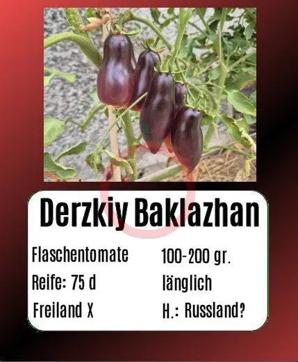 Derzkiy Baklazhan DER TOMATENFLÜSTERER