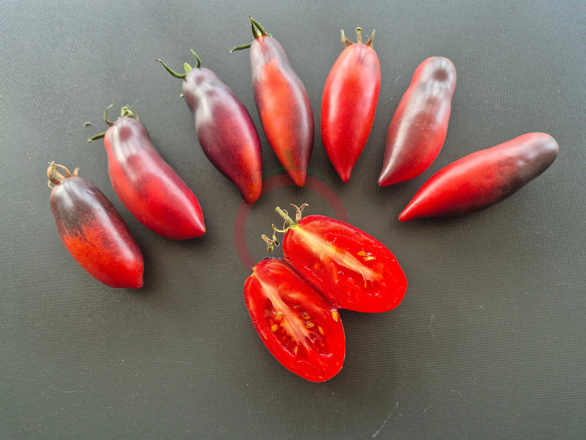 Derzkiy Baklazhan DER TOMATENFLÜSTERER