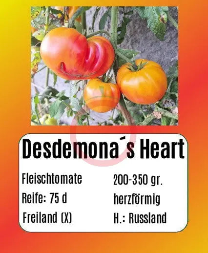 Desdemona´s Heart DER TOMATENFLÜSTERER