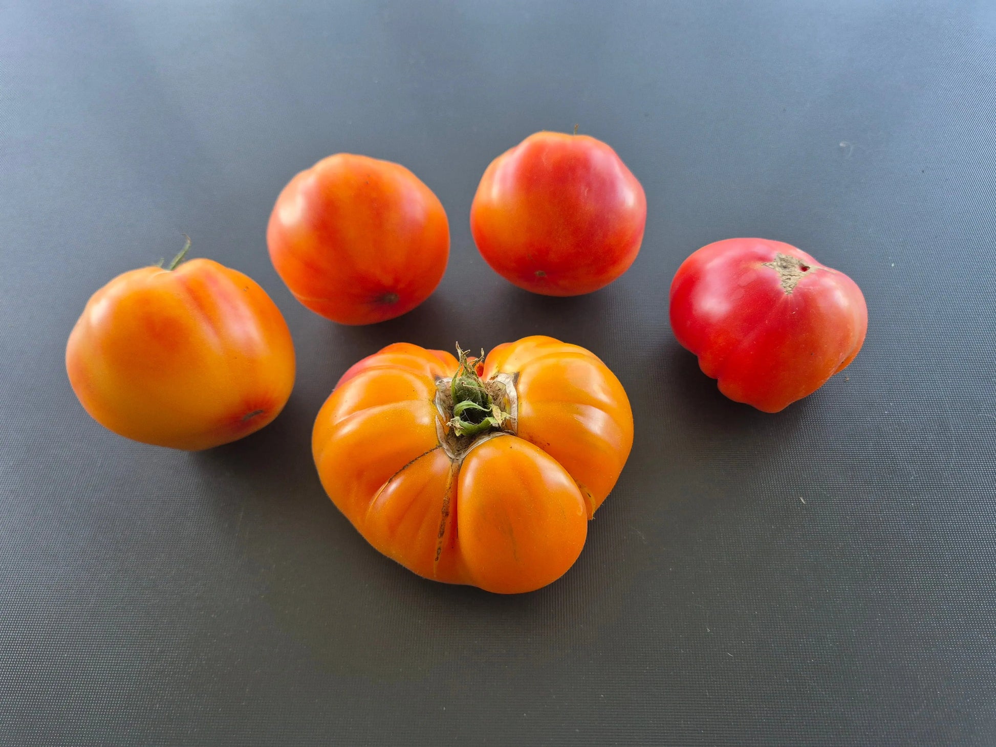 Desdemona´s Heart DER TOMATENFLÜSTERER