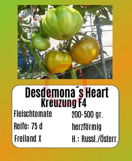 Desdemona´s Heart Kreuzung F4 DER TOMATENFLÜSTERER